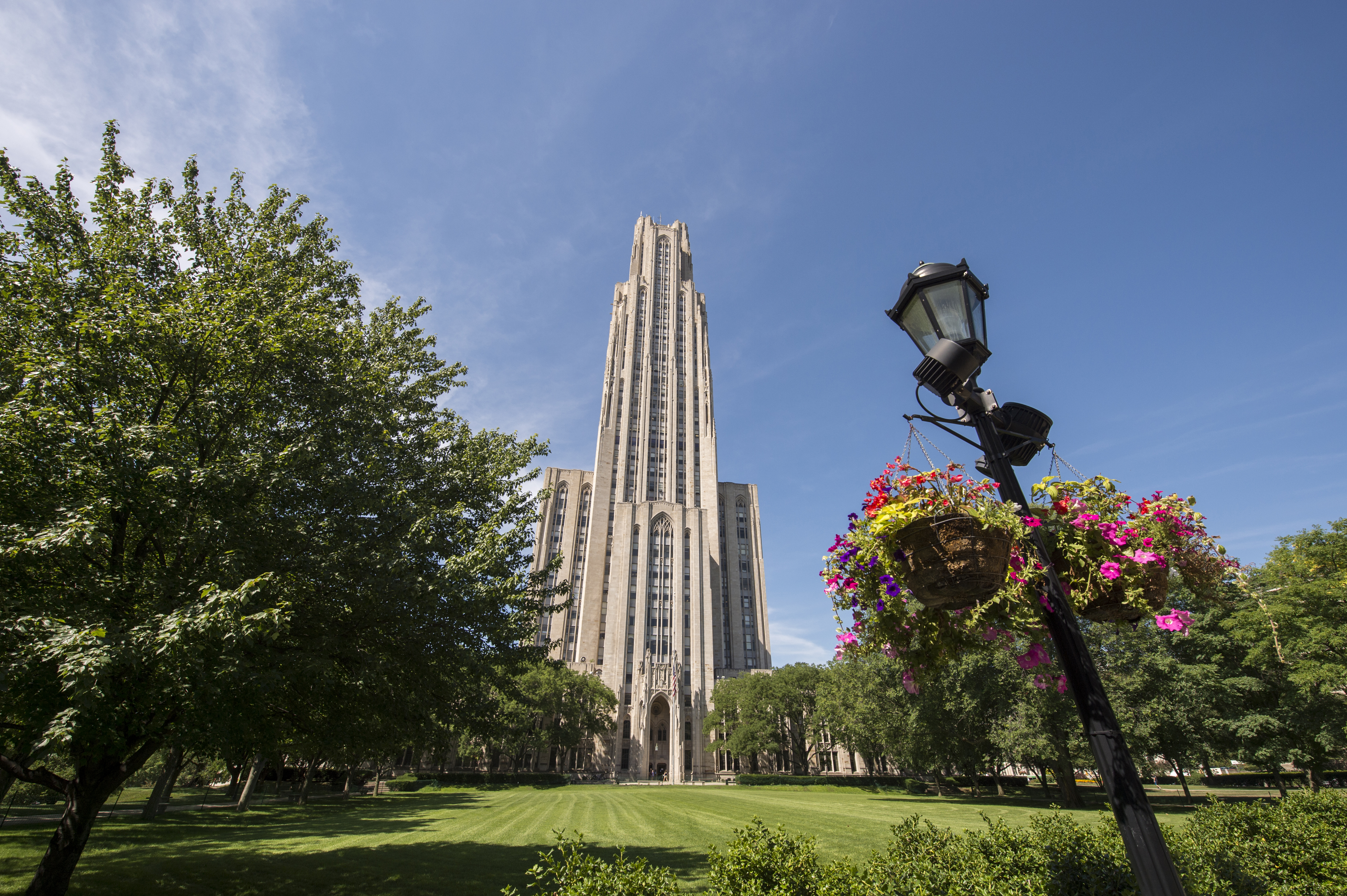 Campus Entrance (Home Page Image)